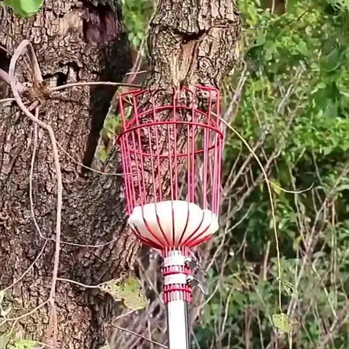 1 pièce Machine à cueillir les fruits, Dispositif de collecte et de récupération des fruits, Pratique et pratique, Outil de jardinage