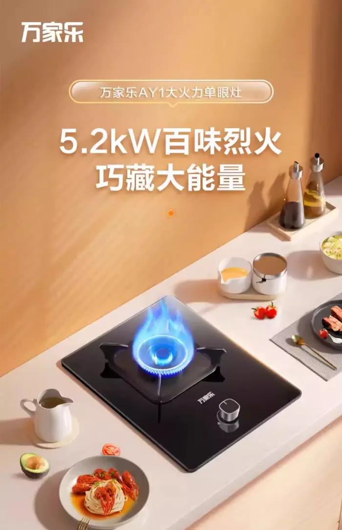 Vanward cuisinière à gaz table de cuisson à gaz de cuisine à brûleur unique pour gaz GPL naturel intégré AP de bureau