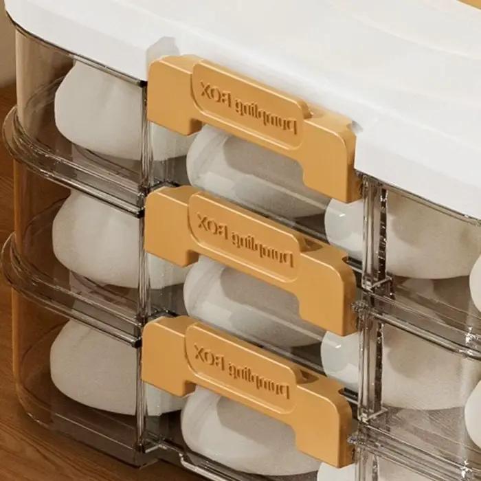 Boîte de rangement multicouche en plastique pour raviolis, boîte de conservation des wontons, grande capacité, hermétique, pour congélateur, cuisine
