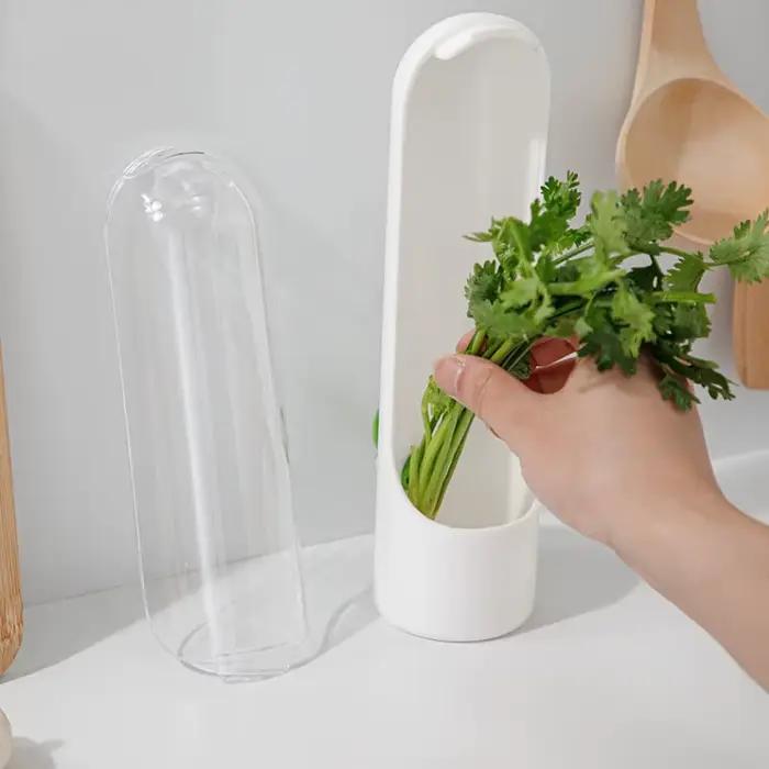 Réfrigérateur herbe bac à légumes