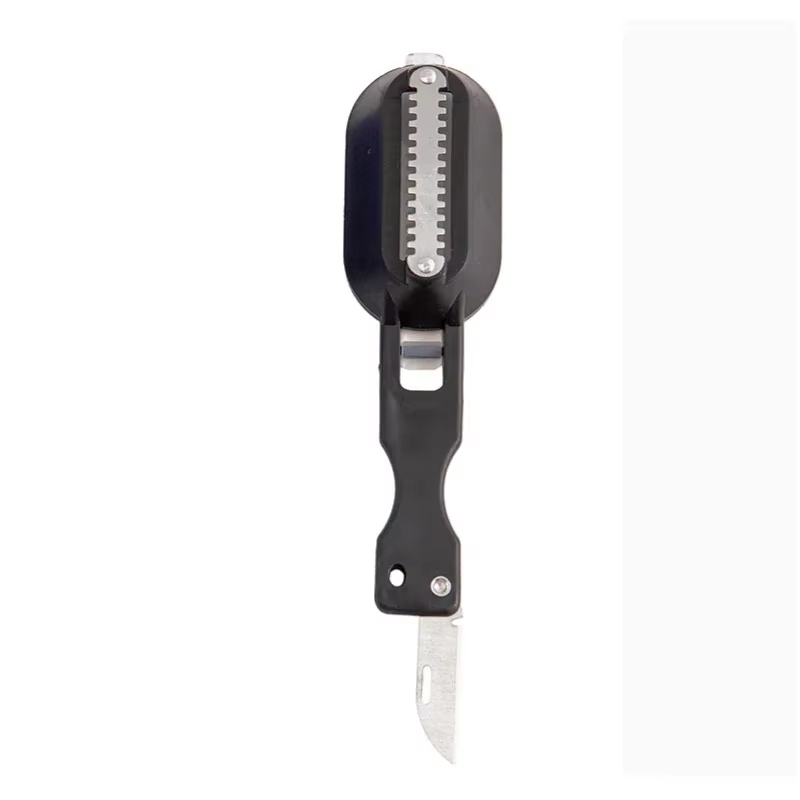 Brosse à peau de poisson, élimine rapide, grattoir à écailles de poisson, outil de raboteuse, détart