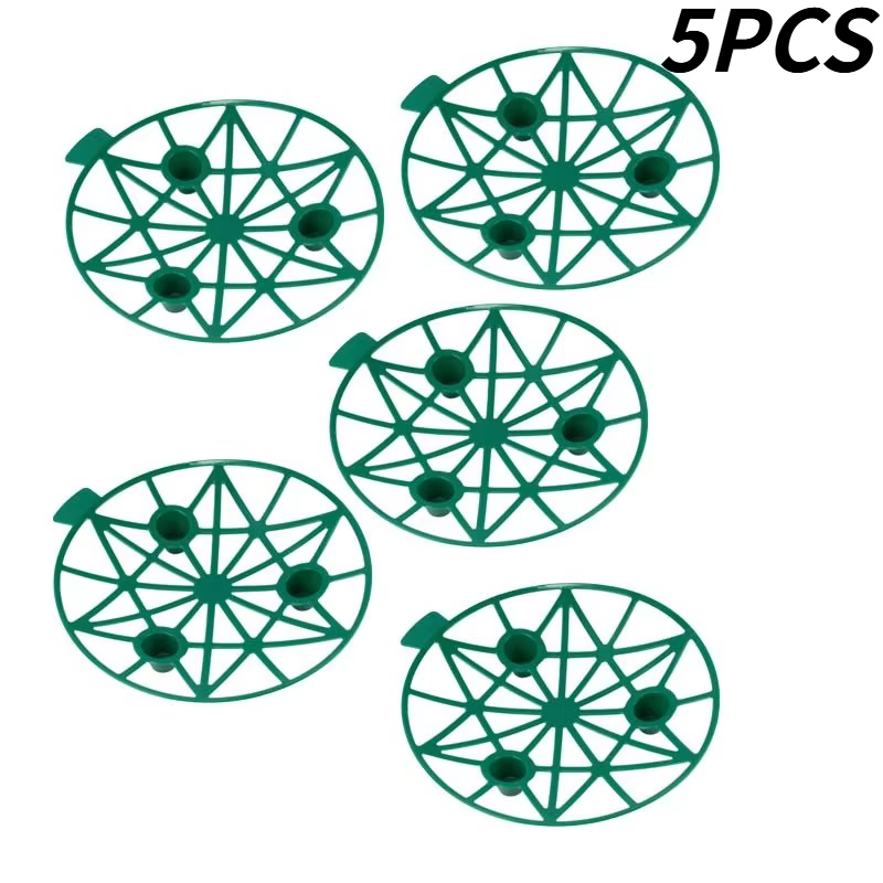 Support de maintien pour pastèque, ensemble de supports pour melon, citrouille et fraise, protège le