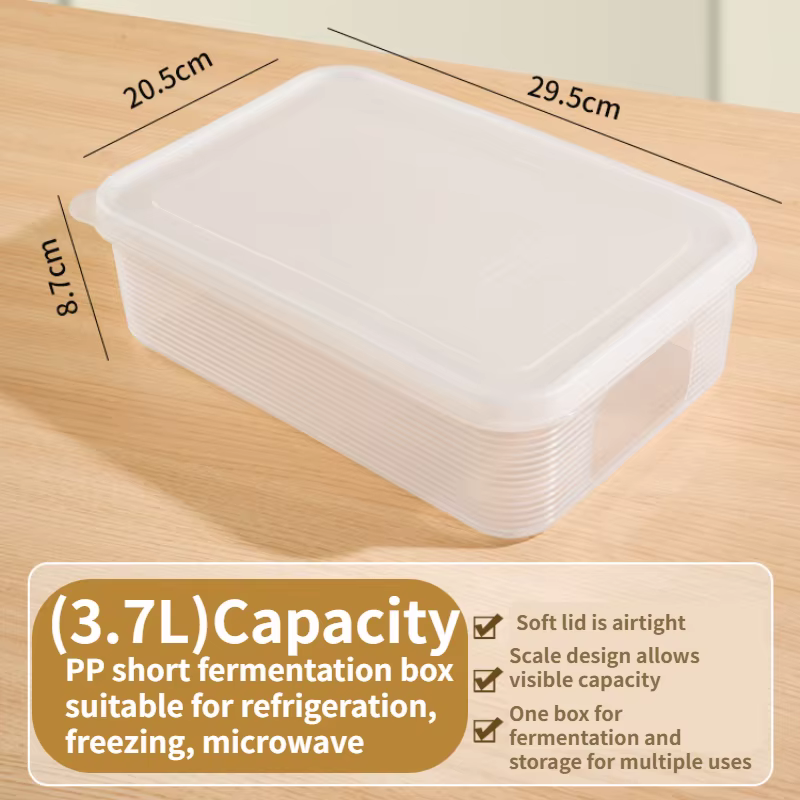 Zackoo-Grand Conteneur de Conservation de la Pâte, Boîte de Rangement des citrouille Frais pour Réfr
