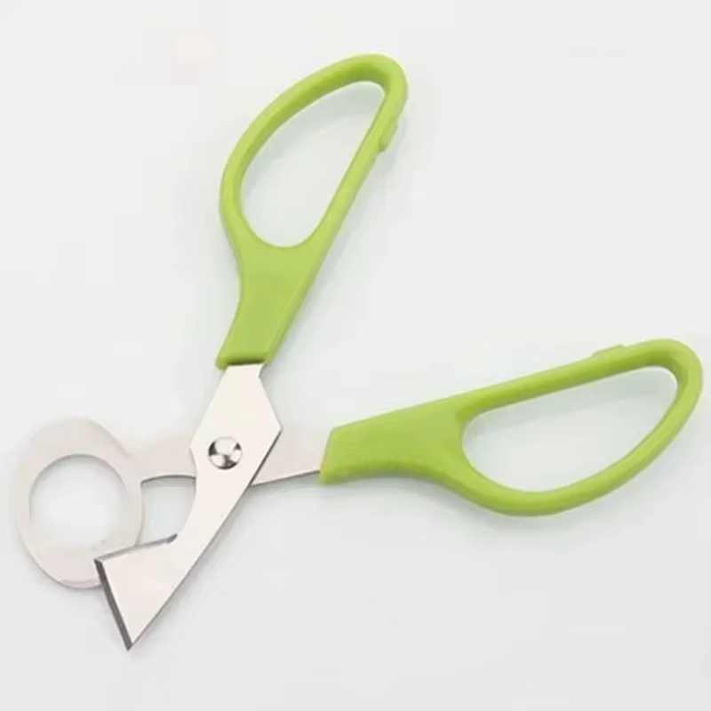 Ciseaux à œufs de caille et de Pigeon, ouvre-œufs, trancheur d'œufs, outils de cuisine pour la maiso