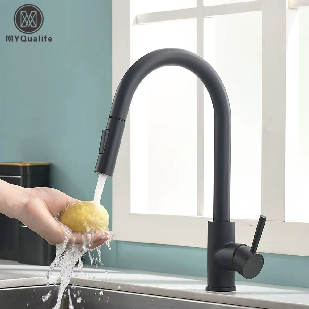 Robinet de cuisine noir à deux fonctions, mélangeur extractible à poignée unique, robinets d'eau cha