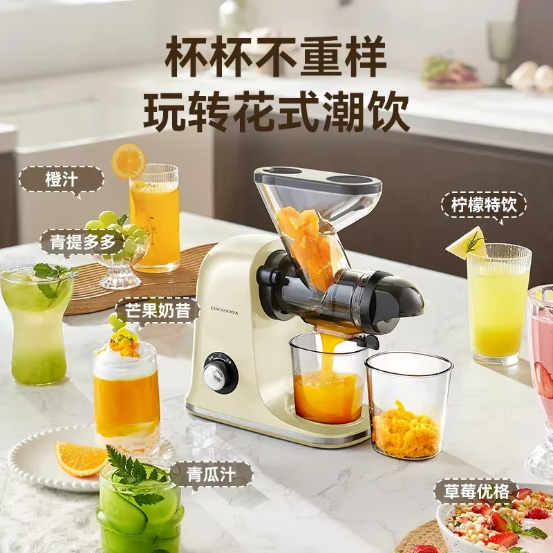 Extracteur de jus à basse vitesse avec séparation des résidus, pour fruits et légumes, petit broyeur