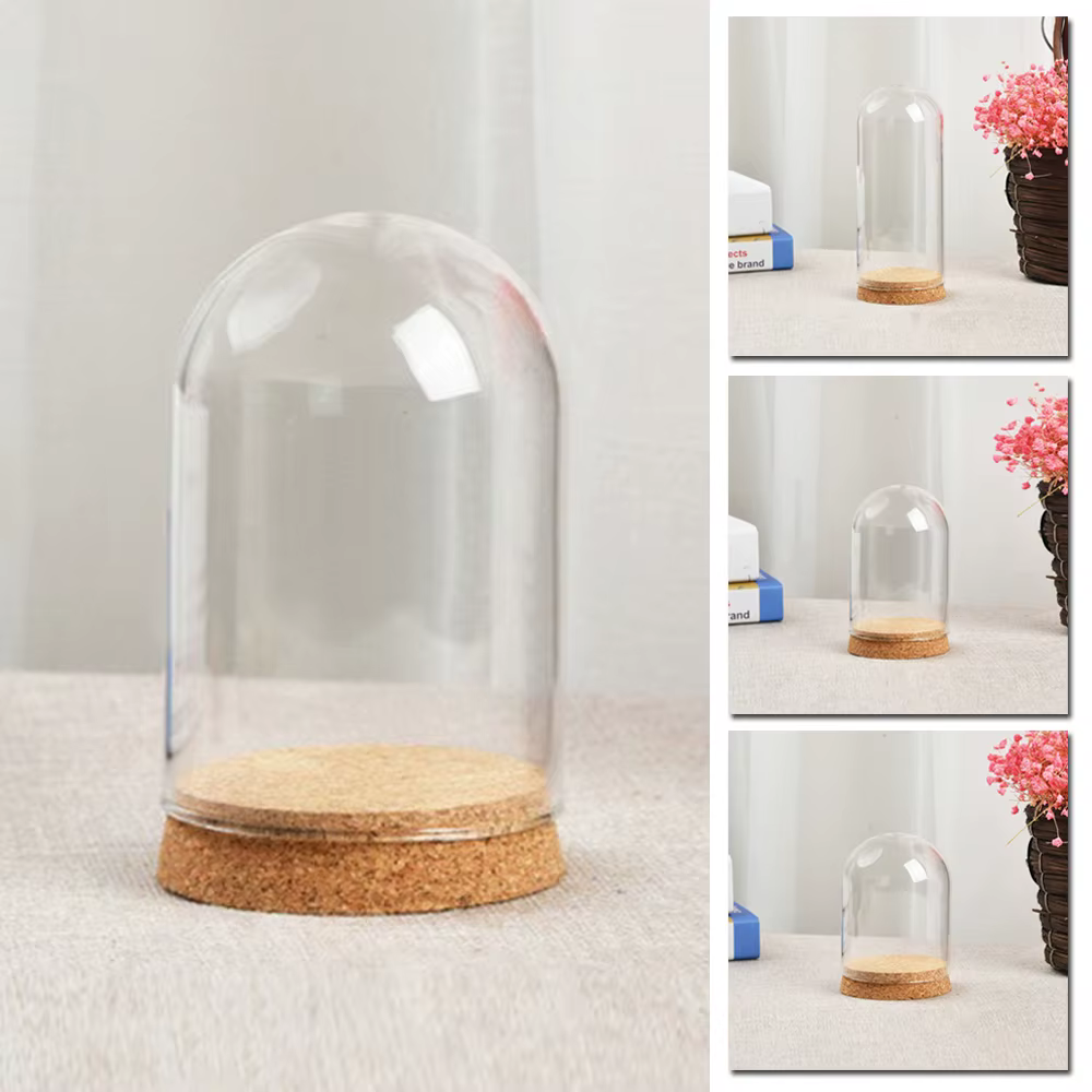 Couvercle hémisphère en verre transparent 10-18cm, dôme en verre, protection des fleurs sèches pour 