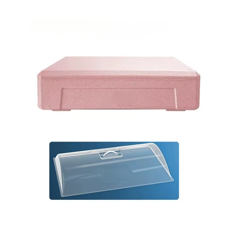 Boîte isotherme portable en mousse : conception de couverture transparente, également pour le stocka