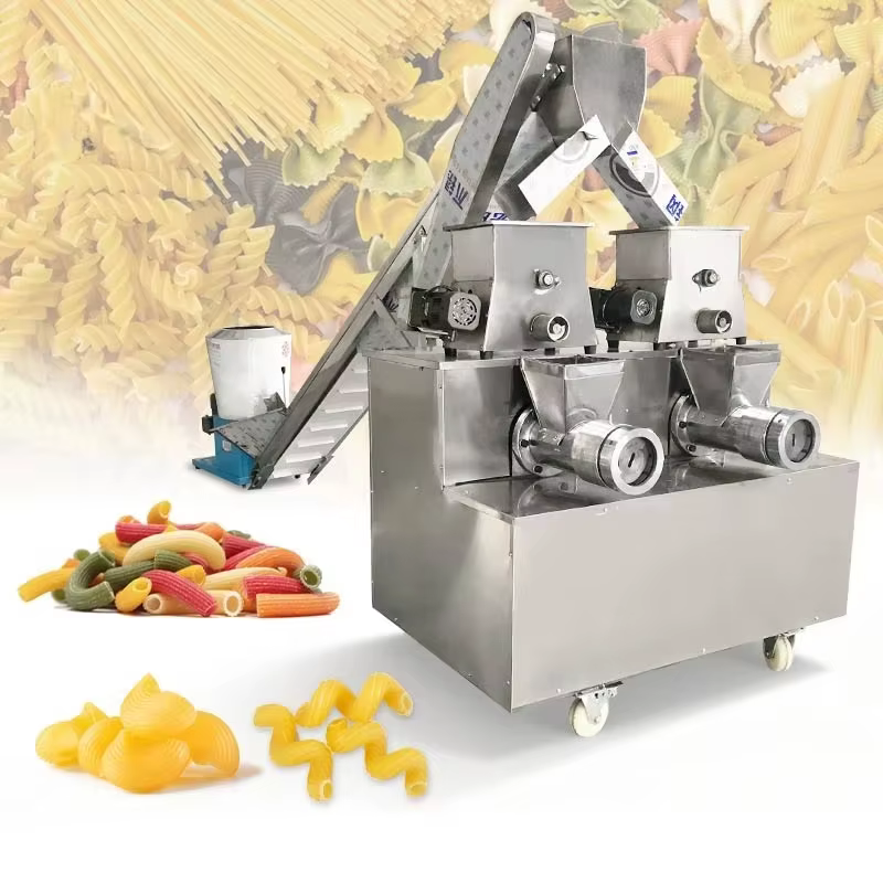 Machine à pâtes électrique compacte 100 kg, machine automatique à spaghetti et macaroni pour ligne d