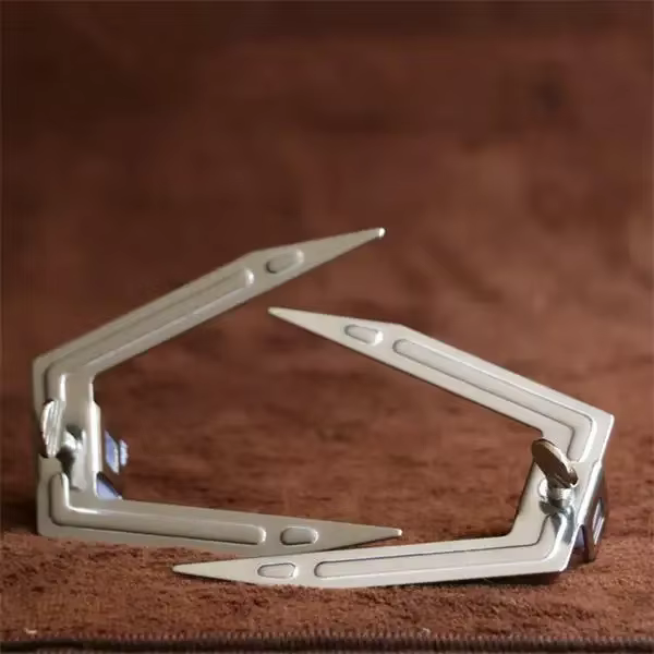 Accessoires de rôtissoire pour barbecue, fourchette à poulet grillé, brochette de poulet rôti en aci