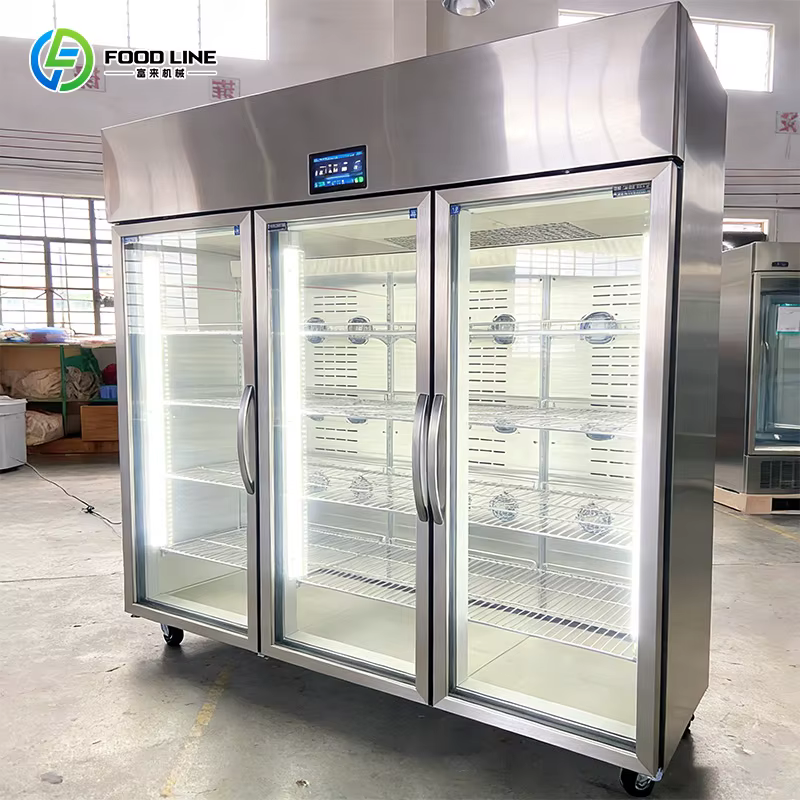 Décongélateur rapide de viande en acier inoxydable, armoire de décongélation sans givre, économe en 