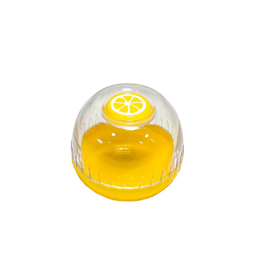 Boîte de Rangement en Plastique pour Réfrigérateur, Couvercle Transparent Polyvalent, Boîte de Conse