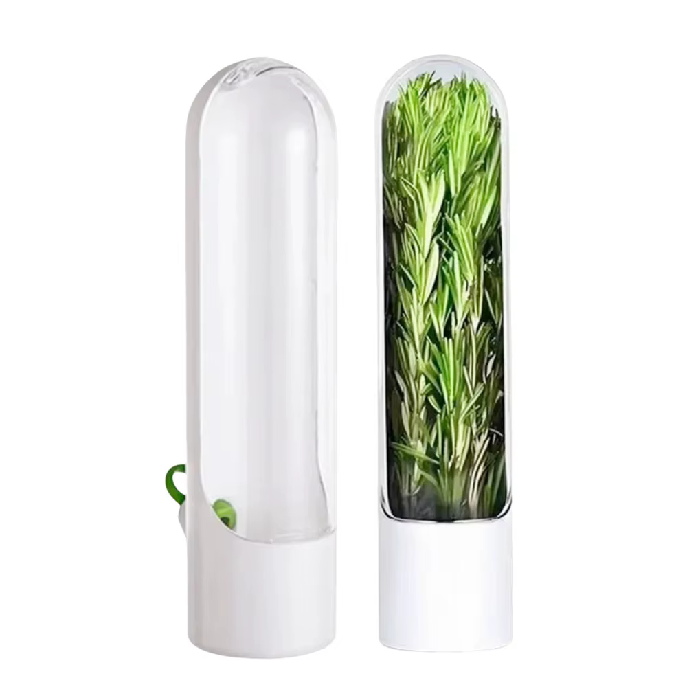 Boîte de conservation des légumes et des chauves fraîches, 1 pièce, organisateur de réfrigérateur, m