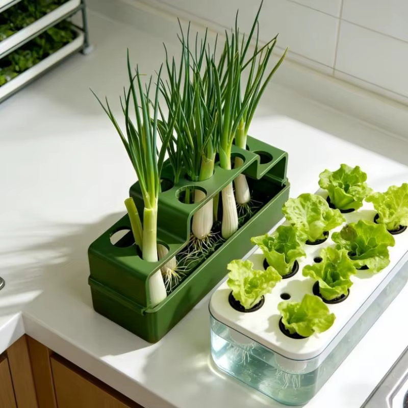 Jardinière hydroponique pour oignon vert