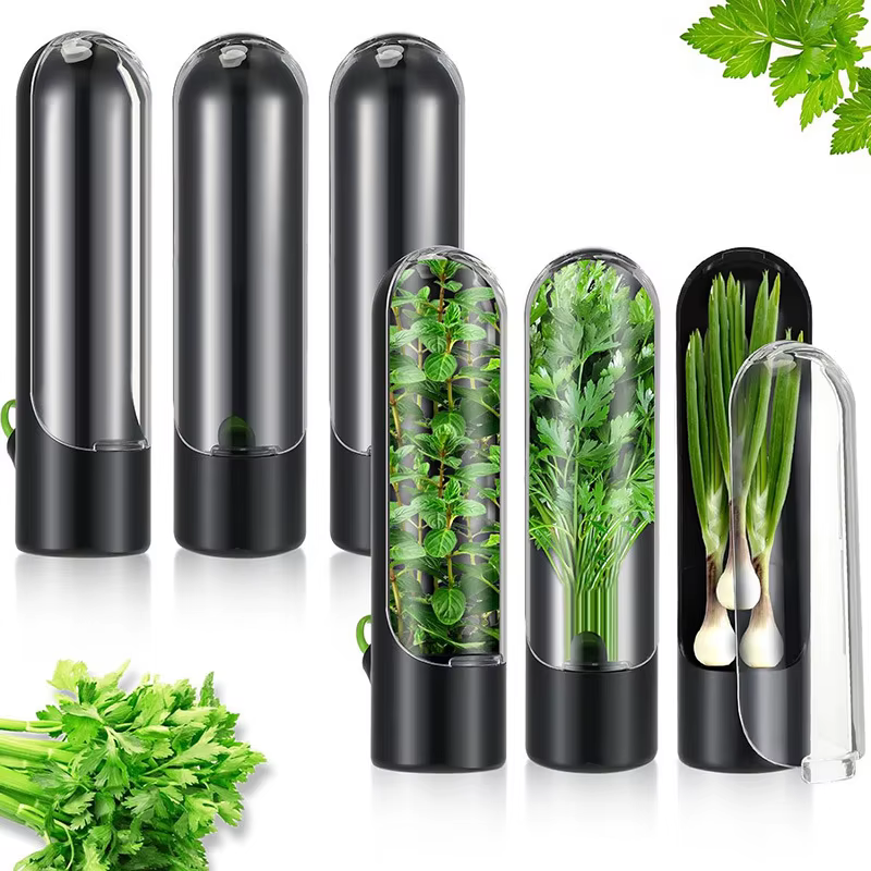 Bouteille de conservation d'herbes fraîches pour réfrigérateur