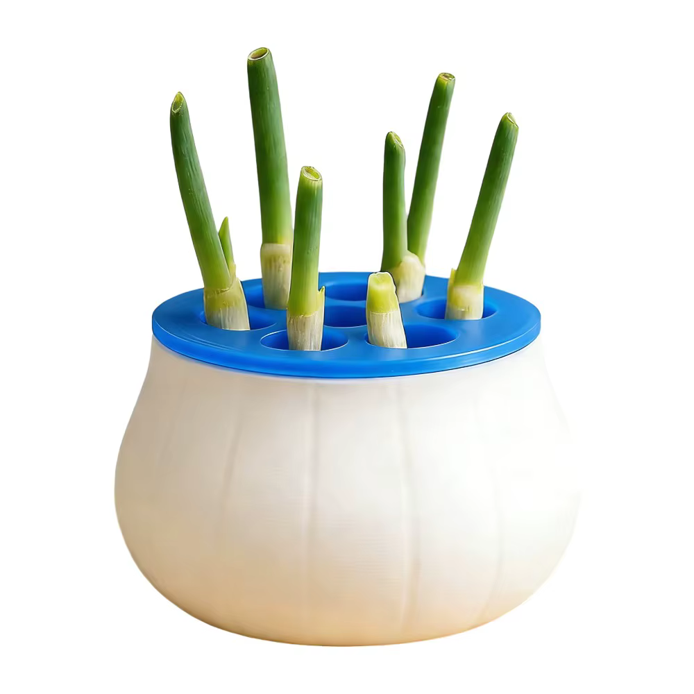 Jardinière à oignon vert à design peu encombrant