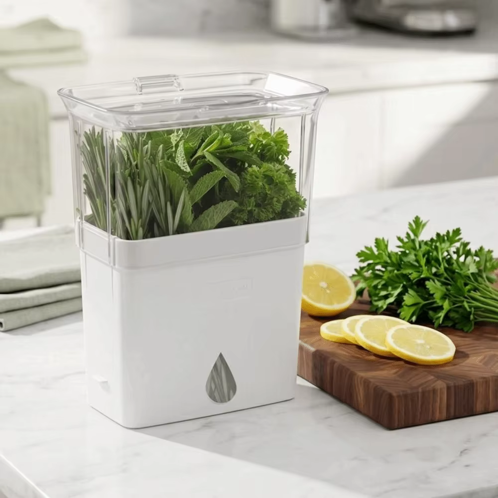 Récipient pratique en plastique pour herbes fraîches