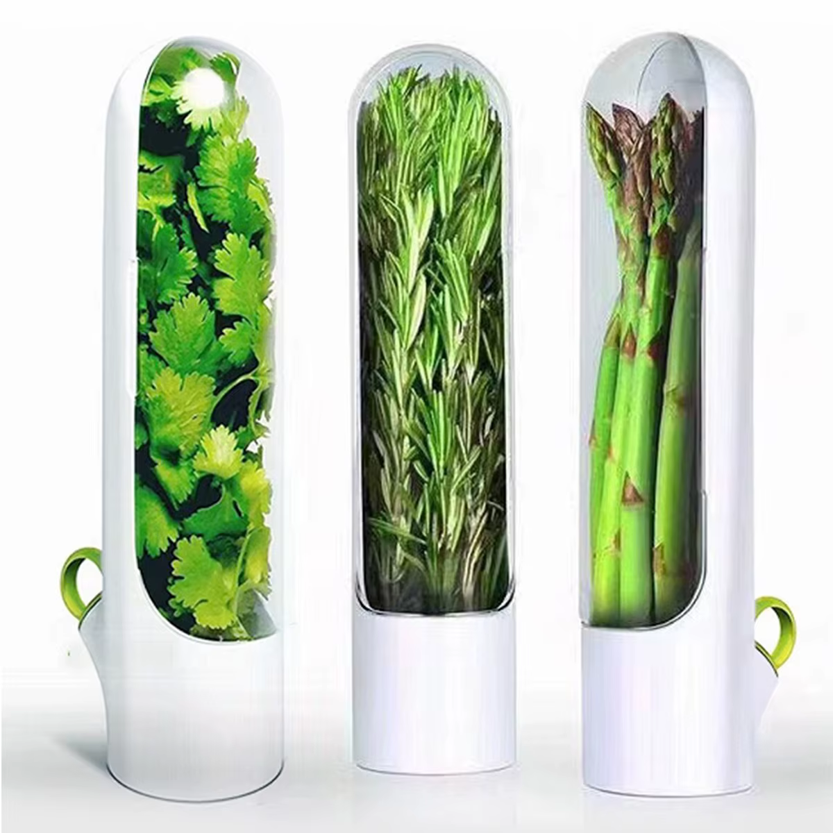 Conteneur de stockage d'herbes fraîches